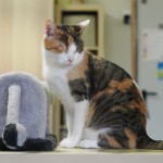 643638282_26326830053601939_1979532979363764216_n