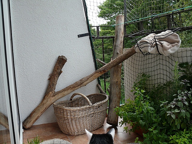 Zabezpieczenia okien i balkonów