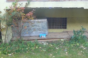 Pomóżmy kotom przetrwać zimę !!!