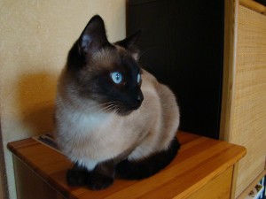 Wydarzenia grudniowe