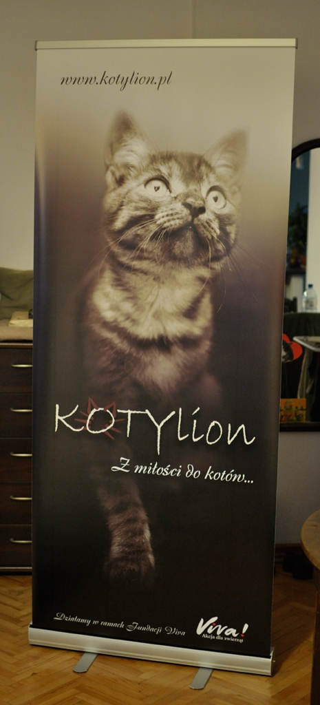 Mamy baner!