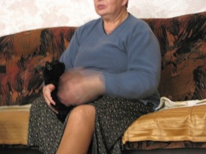 Koty Pani Franciszki - udało się