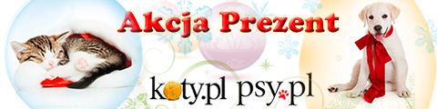 Akcja Prezent
