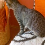Fibi ['] już masz swoje nóżki...