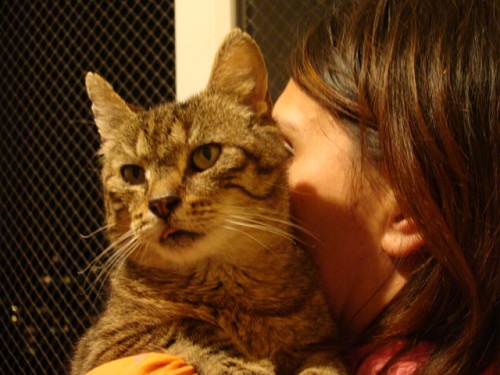 Adoptusie. Gucio w swoim domu.