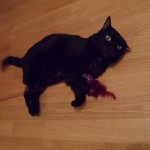 Co słychać u Klusi?
