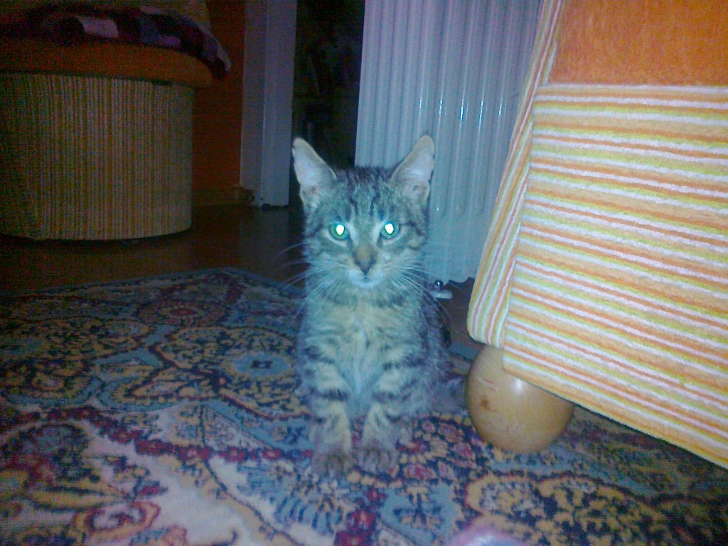 Tom nadaje z własnego domu :)