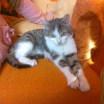 Basia