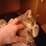 2013-03-02 14.04.40
