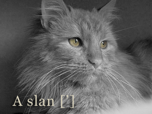 Aslan [']