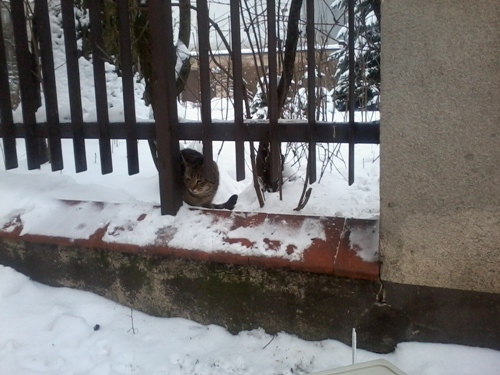 Do trzech razy sztuka:)