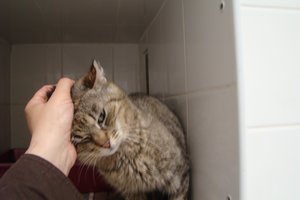 Nerkowy Dyzio zwany Torcikiem - został we Wrocławiu na stałe :)