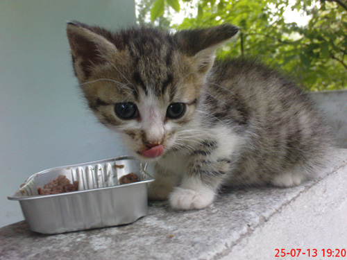 Adoptusie. Adela i Leon już w domu