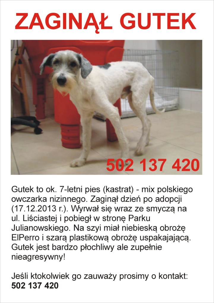 Rysunek1