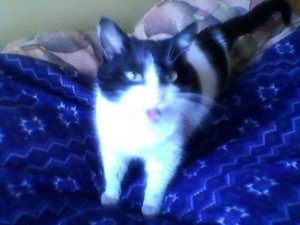 SALEM_1
