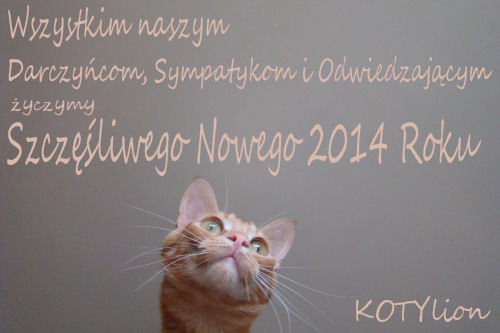 Szczęśliwego Nowego Roku 2014 !!!
