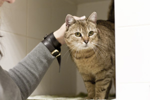 Adoptusie. Wandzia hrabianka już w domu ;-)