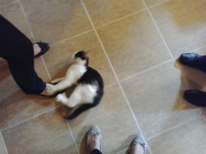 20140628_125707