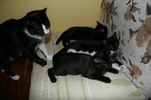 3 x M - Marylka, Milenka i Malwinka w domach :)