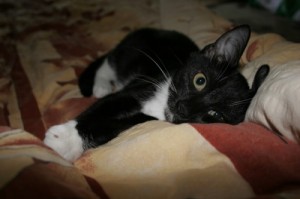 malwinka_09