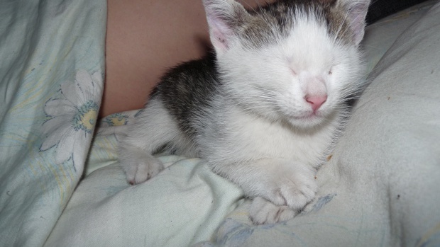 Adoptusie. Leon i Luis. Już w domu :)