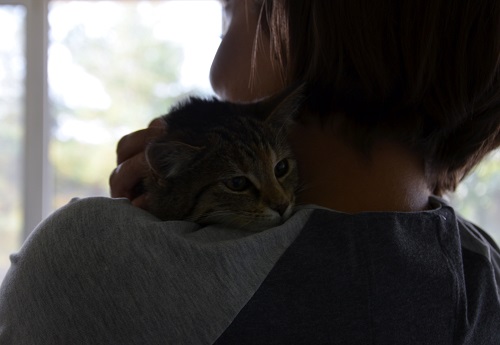 Adoptusie. Zuzia - wieści z domu :)