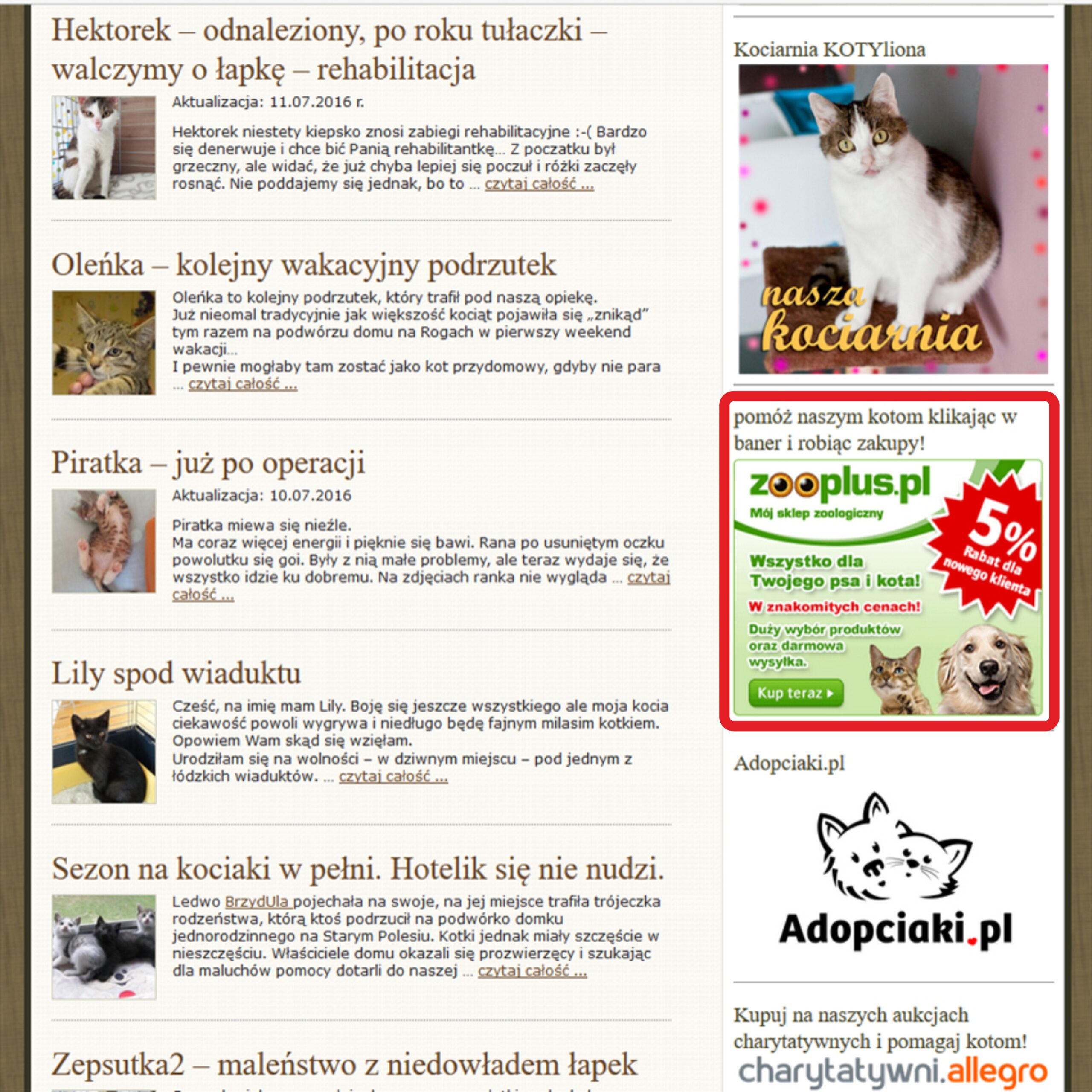 Program partnerski zooplusa - dziękujemy, że o nas pamiętacie :-)
