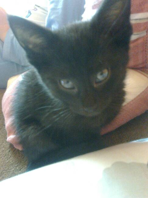Adoptusie. Lucjusz - w domu :)