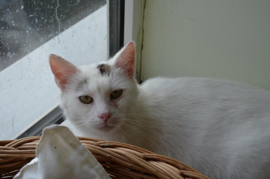 Adoptusie. Kajtuś – chłopak do kochania - zostaje w dt na stałe :)