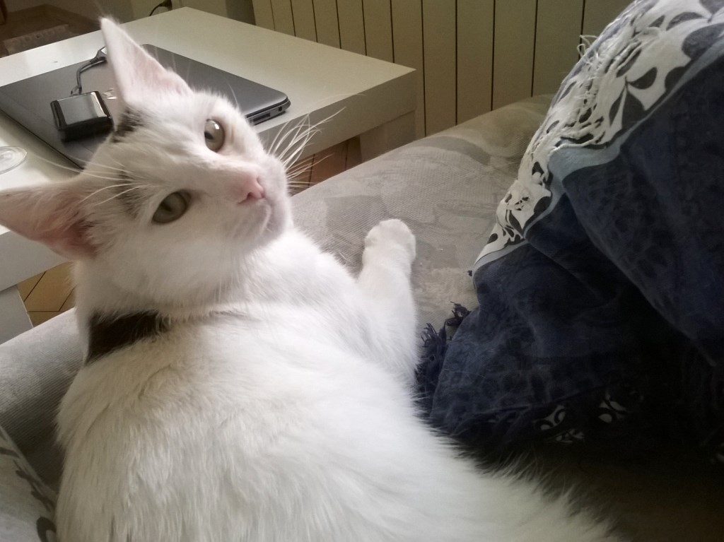 Adoptusie. Kajtuś – chłopak do kochania - zostaje w dt na stałe :)