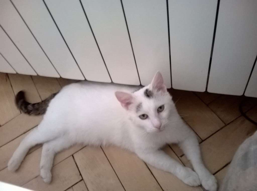 Adoptusie. Kajtuś – chłopak do kochania - zostaje w dt na stałe :)