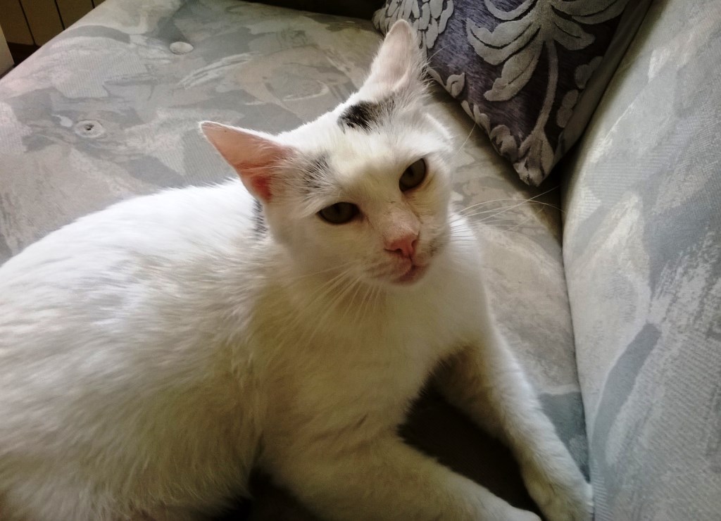 Adoptusie. Kajtuś – chłopak do kochania - zostaje w dt na stałe :)
