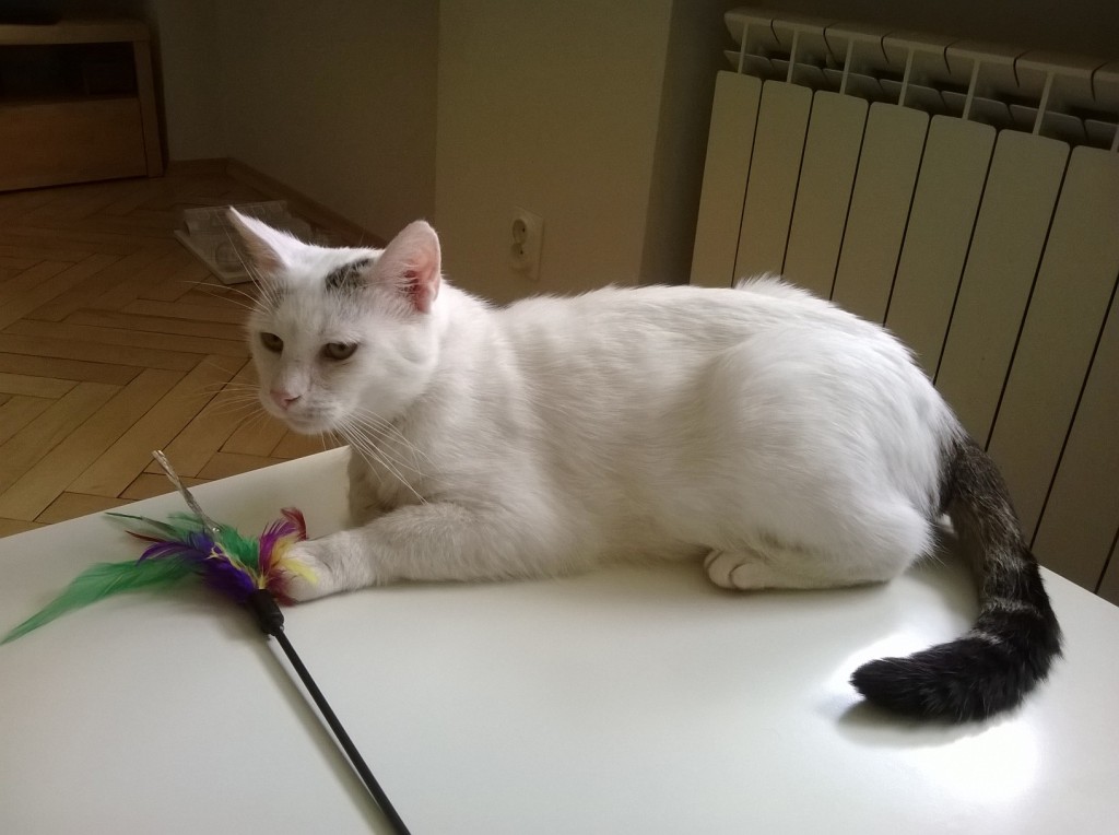 Adoptusie. Kajtuś – chłopak do kochania - zostaje w dt na stałe :)