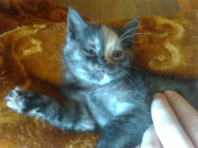 Kolorowo mi... Maluchy w domach :)