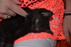 Adoptusie. Mort. Przeprowadza się do własnego domu!
