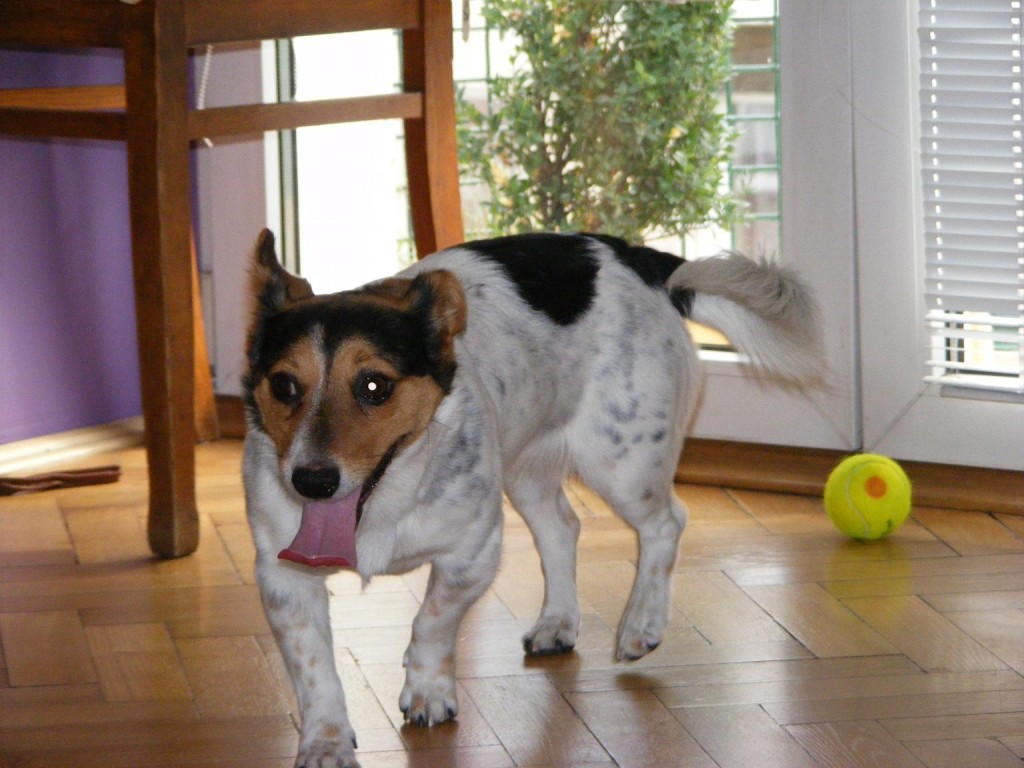 Adoptusie. Biedroneczka. W domu :)