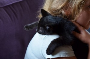 Adoptusie. Klakier wreszcie znalazł swoje miejsce na ziemi :)