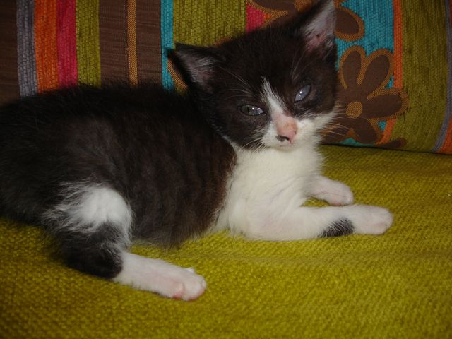 Alexa i Blake - w domach :)