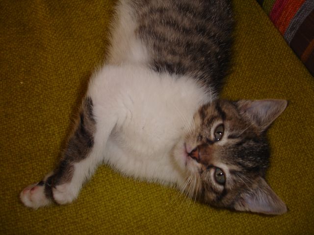 Alexa i Blake - w domach :)