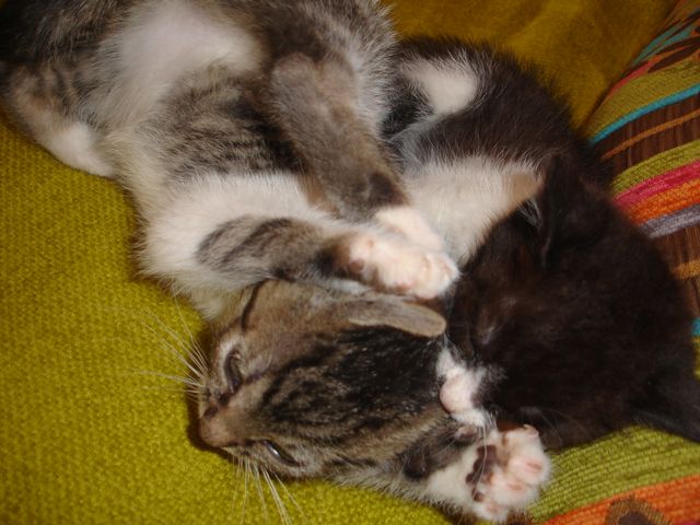 Alexa i Blake - w domach :)