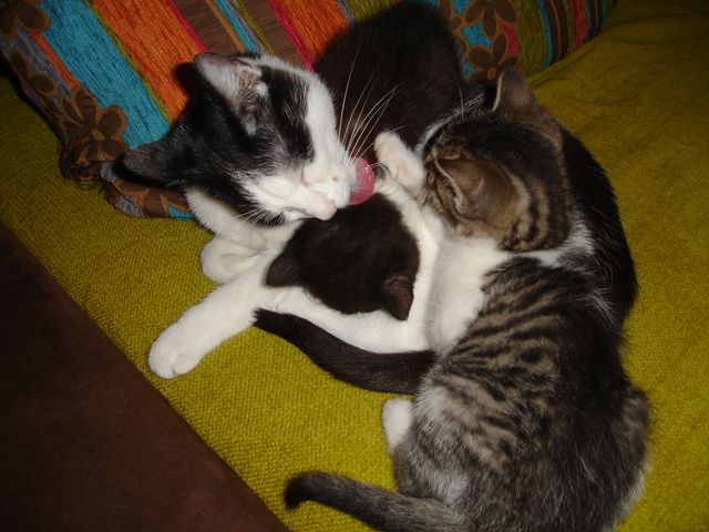 Alexa i Blake - w domach :)
