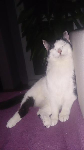 Gadka pozdrawia z domu :)