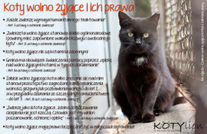 Koty wolno żyjące i ich prawa