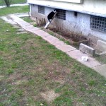 Zdjęcie0031