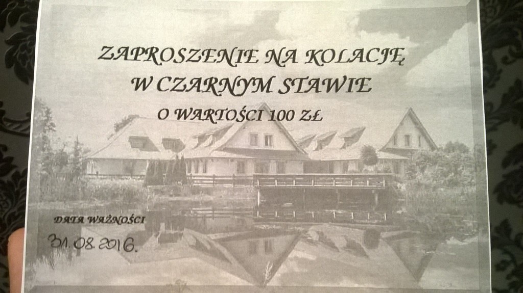 Koty z "Czarnego Stawu"