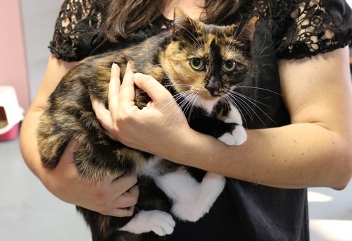 Mela i Tosia – bolesny powrót z adopcji