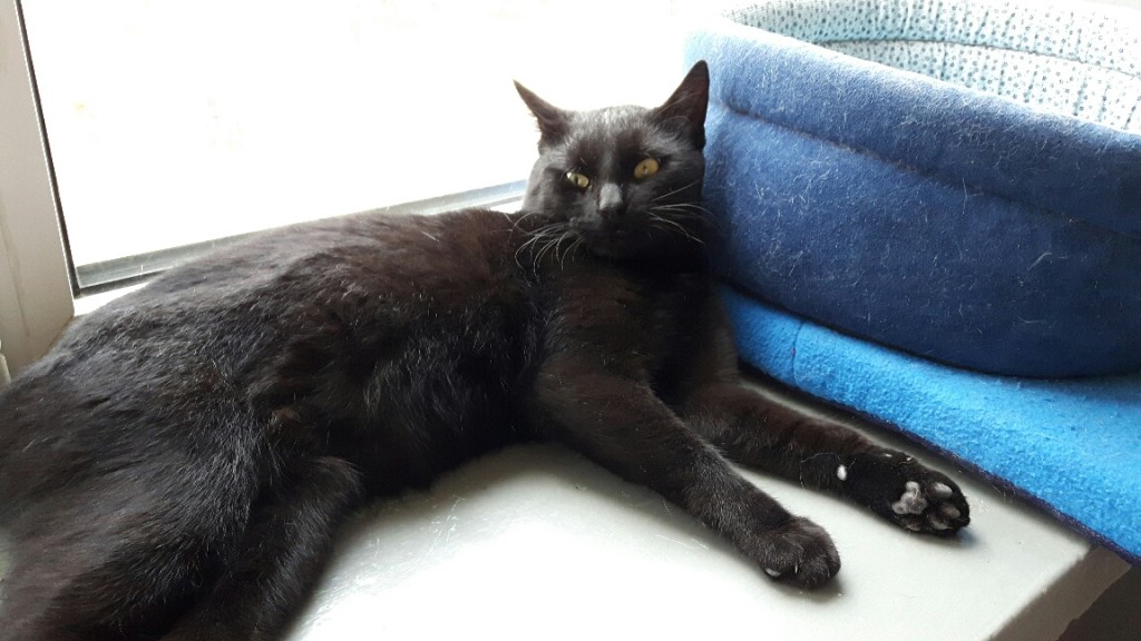 Bruno - w domu :-)