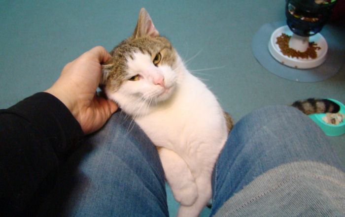 Adoptusie. Konstanty zwany Kostkiem -w domu :)