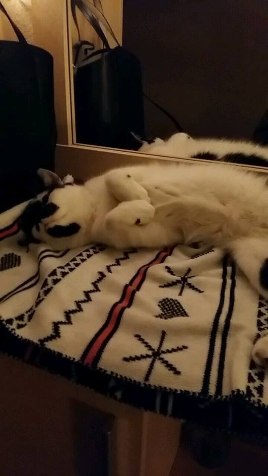Bocian i Żuraw - już w domach :)
