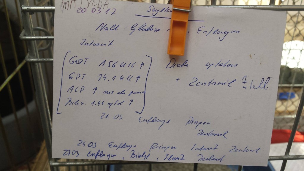Matylda - w Domu :)